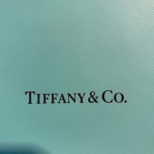 Authentic Tiffany gift bag